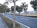 鳥町