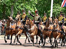 A group of bay horses mounted by soldiers in ceremonial uniform.