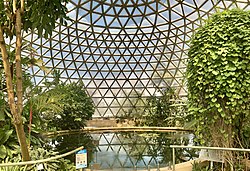 Tropical Display Dome, Brisbanen kasvitieteellinen puutarha, Mount Coot-tha 08.jpg