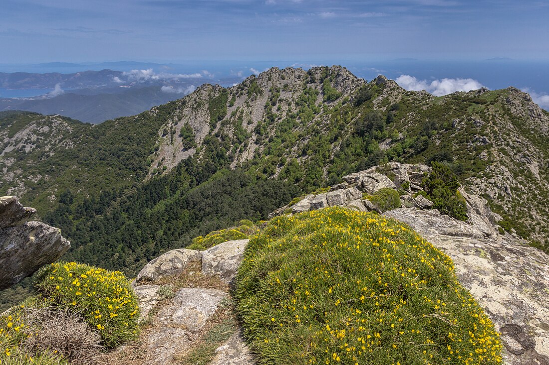 Monte Capanne e promontorio dell’Enfola