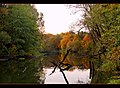 Tuskar river Autumn - panoramio.jpg