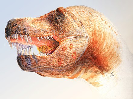 Restoration of a Tyrannosaurus with holes possibly caused by a Trichomonas-like parasite