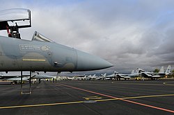 Letouny US Air Force F-15C Eagle přidělené 493. stíhací peruti sedí na letové lince během programu Tactical Leadership Program (TLP) na letecké základně Albacete ve Španělsku 130118-F-BH151-110.jpg