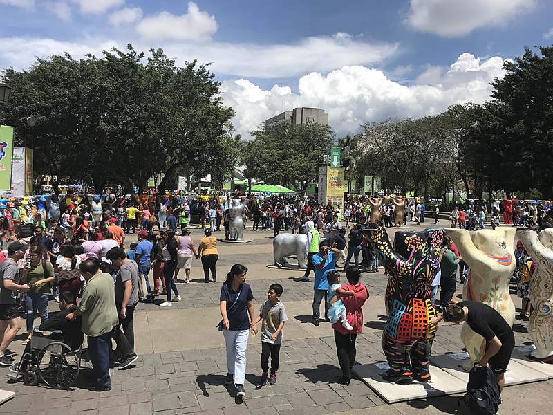 File:United Bears in Guatemala City 2019.jpeg