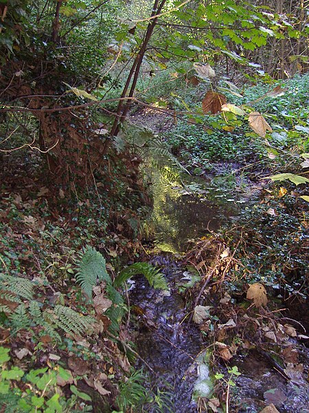 File:Upstream, River Mun at Sidestrand lane 5th October 2007.JPG