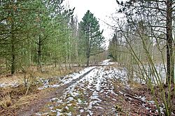 Arboretum na temeni výsypky