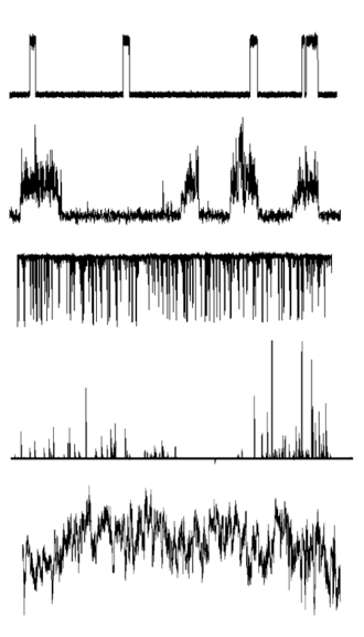 Sample of conductance-time records formed by synthetic ion channels in planar bilayer experiments Varieties of Voltage Clamp Traces.png