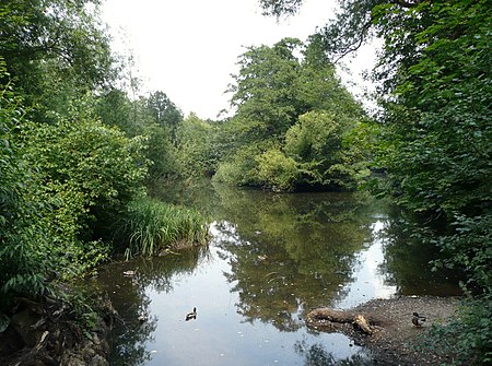 Vierthaler Teich Wasserfläche