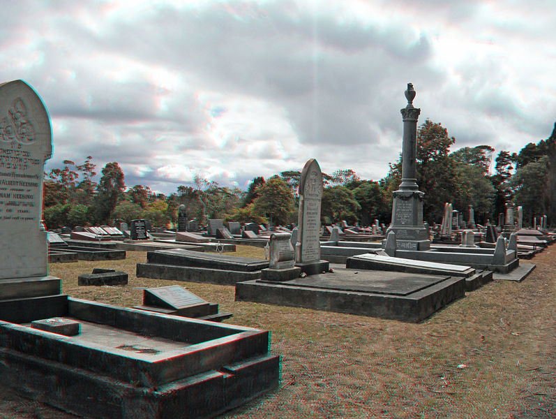 File:View of Waikumete Cemetery.jpg