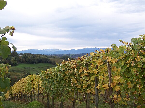 South West France (wine region)