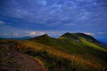 Tarnica