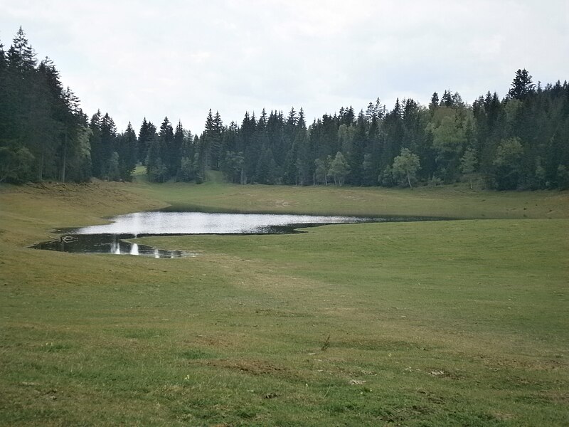 File:Wildmoossee.JPG