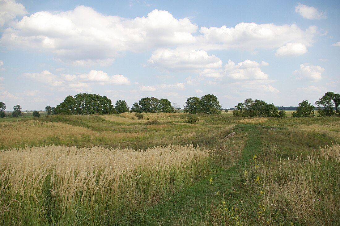 Wyspa Grodziskowa