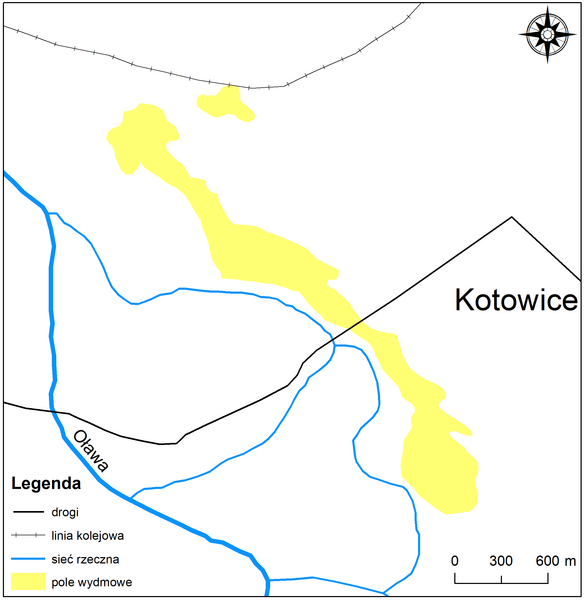 File:Wydmy Kotowice.png