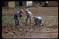 תמונה ממוזערת לגרסה מ־19:38, 5 בנובמבר 2012