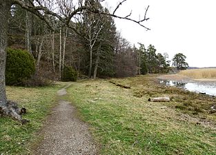 Yttereneby naturreservater, 2017c.jpg