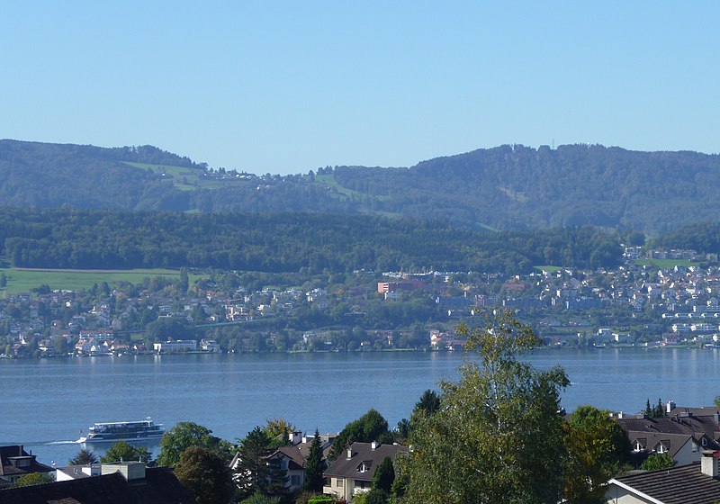 File:Zürichsee Albispass.JPG