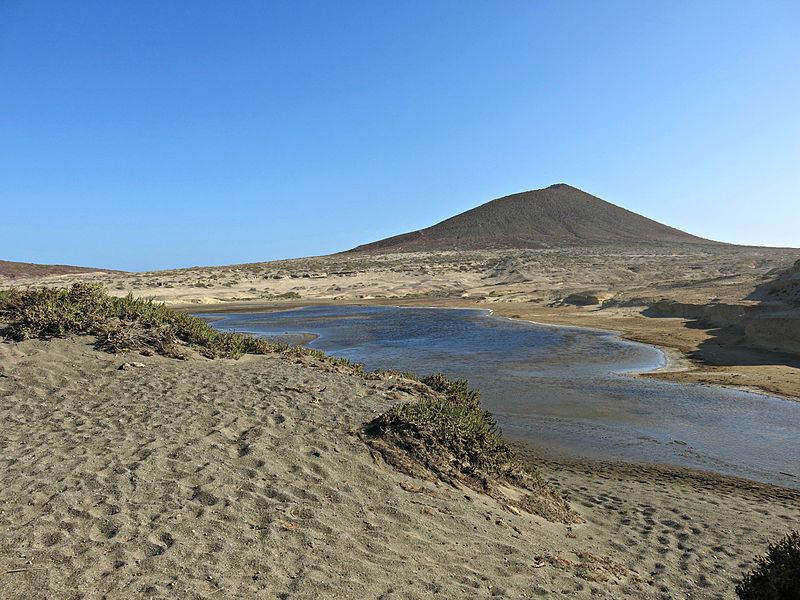 File:Zona de descanso del Chorlitejo patinegro.JPG