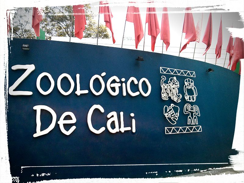 File:Zoologico de cali.JPG