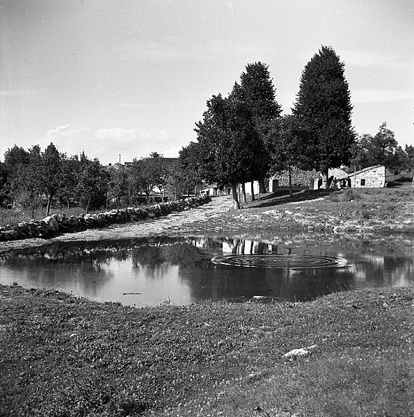 File:"Kau" (napajališče za živino). Nekoč so tu pridobivali led in ga shranjevali v posebni jami "ledenici", Markovščina 1955.jpg