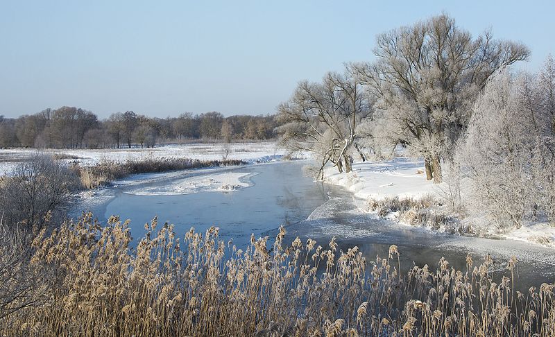 File:Река Нежеголь зимой.jpg