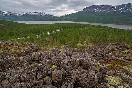 306. Путоранский заповедник, Красноярский край — Кирилл Уютнов