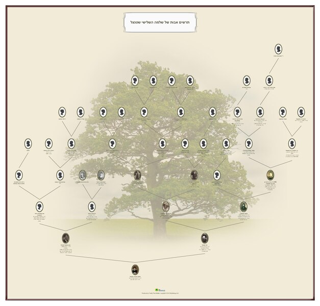 File:אילן יוחסין של משפחת שטנצל.PDF