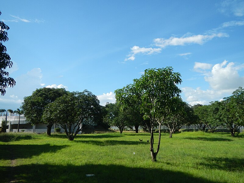 File:02461jfHour Great Rescue Concentration Prisoners Sundials Cabanatuan Memorialfvf 05.JPG