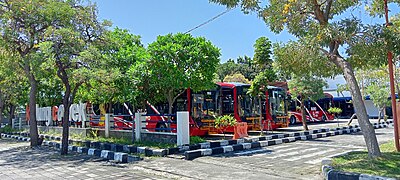 Pool Suroboyo Bus