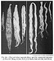 19th century knowledge weaving flax hemp jute manila sisal vegetable fibers.jpg