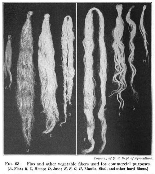 19th century knowledge weaving flax, hemp, jute, Manila hemp, sisal and vegetable fibers