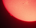 2011-11-09 14-43-52-sun-in-h-alpha.jpg