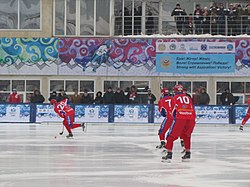 Jääpallon Maailmanmestaruuskilpailut 2012