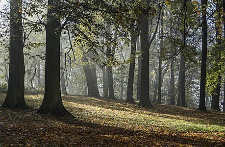 Park in Kłodzko