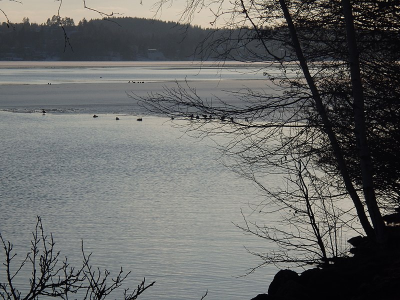 File:2016-03-35 views of Tampere.jpg