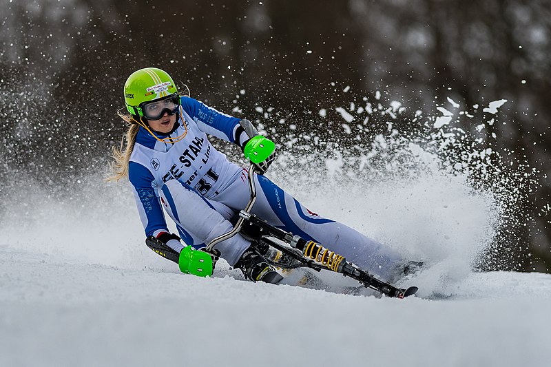 File:2018 STM Austria Skibob Hochficht HARTL Claudia-2773.jpg