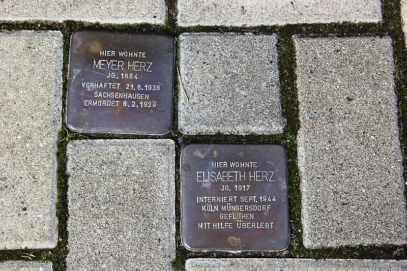 File:2021-08-11-bonn-berta-lungstras-strasse-23-stolperstein-04.jpg