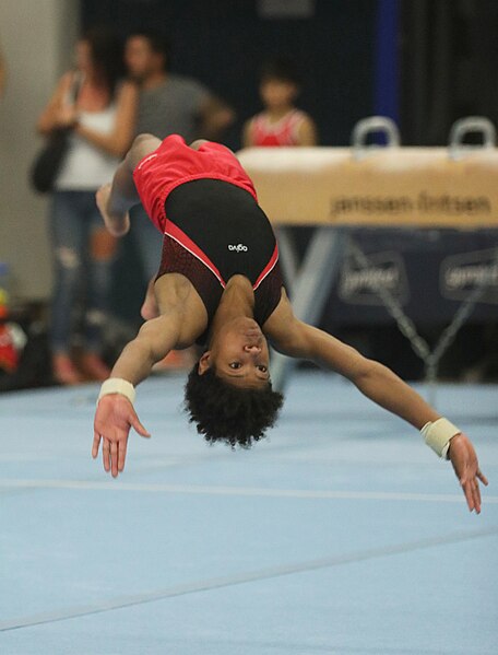 File:2022-10-29 Wase Gymcup MAG Youth, Juniors and Seniors I competition Floor exercise (Martin Rulsch) 0402.jpg