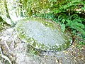 Meule en pierre abandonnée près de la maison Le Carnoët au site du Passage en forêt de Toulfoën.