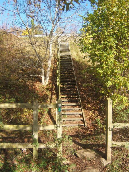 File:50 steps up the embankment - geograph.org.uk - 1033062.jpg