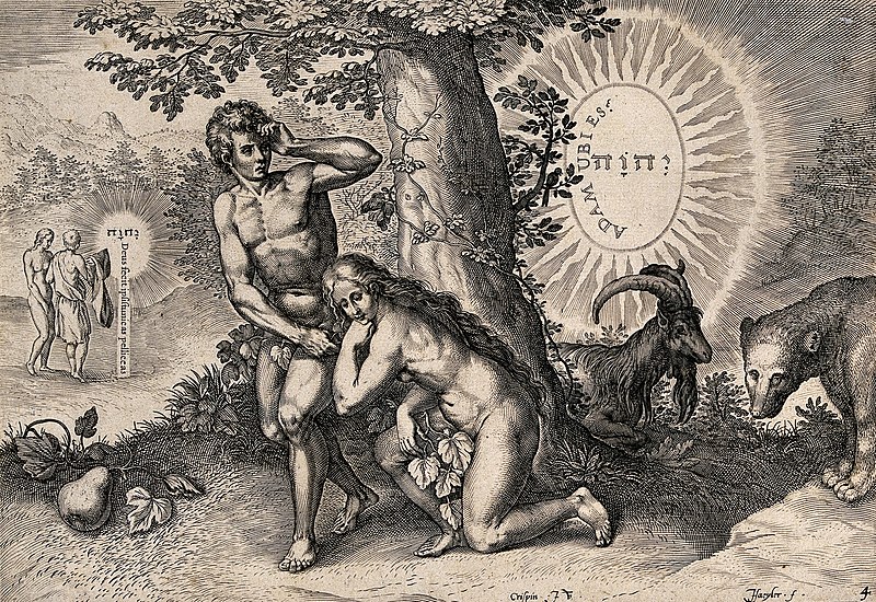 File:A bright light beams out on Adam and Eve from behind the tre Wellcome V0034189.jpg