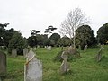 A guided tour of Broadwater ^ Worthing Cemetery (103) - geograph.org.uk - 2344057.jpg