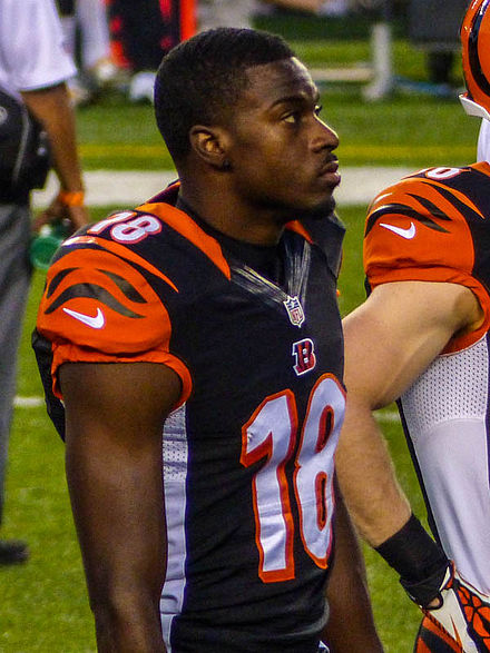 Green in a game against the Steelers in 2013