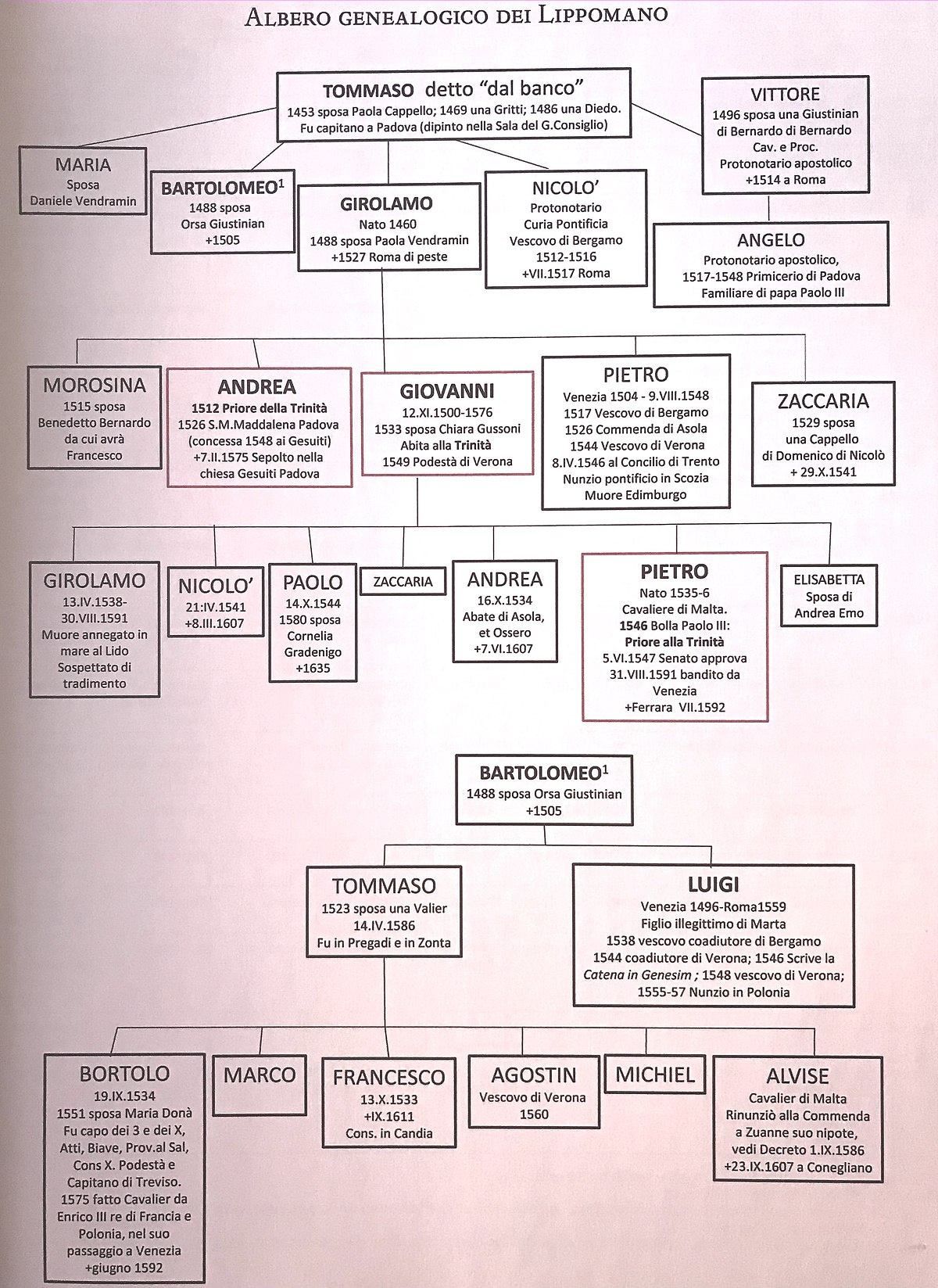 Albero genealogico