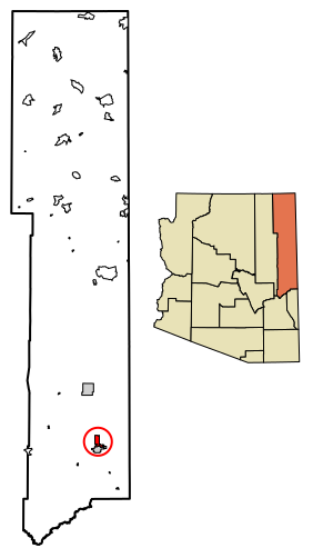 File:Apache County Arizona Incorporated and Unincorporated areas Springerville Highlighted 0468990.svg