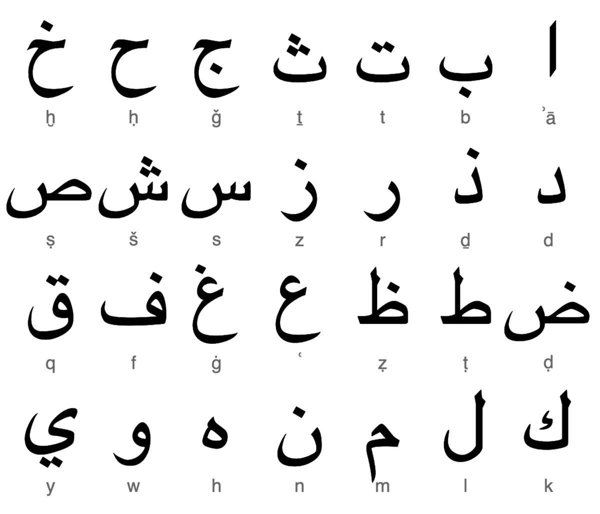 Arabic Script Wikipedia