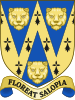 Arms of Shropshire County Council.svg