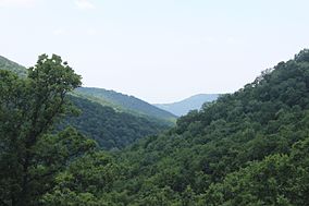 Arzakan-Meghradzor Sanctuary 15.JPG