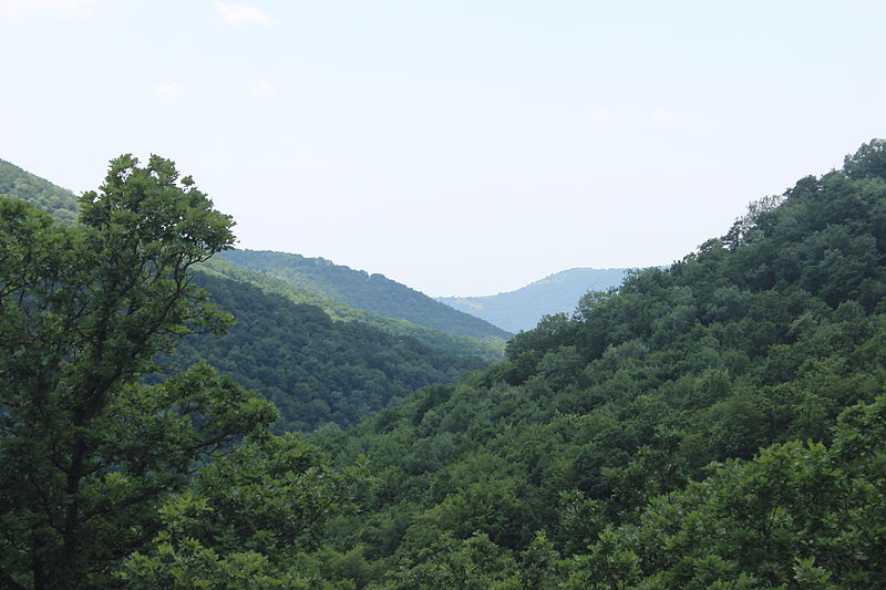 File:Arzakan-Meghradzor Sanctuary 15.JPG