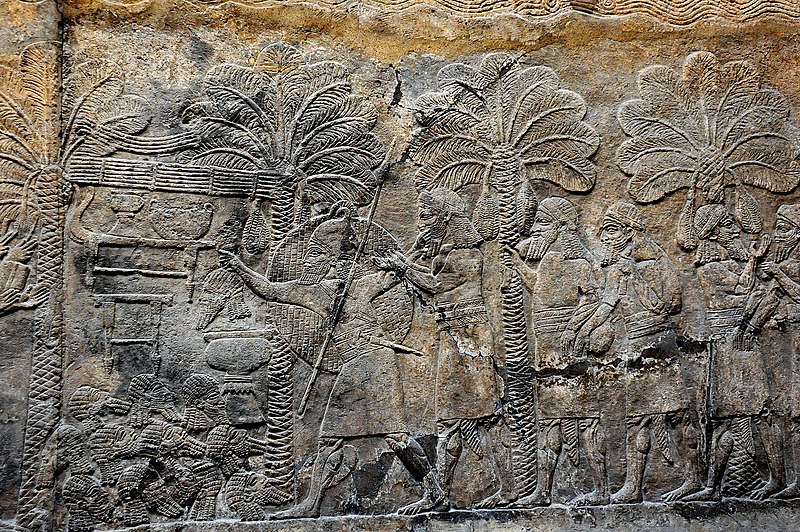 File:Assyrian military campaign in southern Mesopotamia, beheaded enemies, 7th century BC, from Nineveh, Iraq. The British Museum.jpg